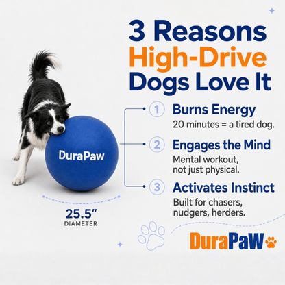 Durable Herding Ball
