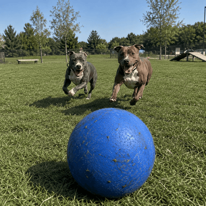 Durable Herding Ball