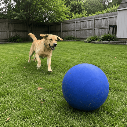 Durable Herding Ball